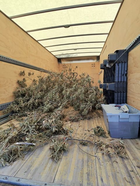Brush and yard waste loaded in a truck