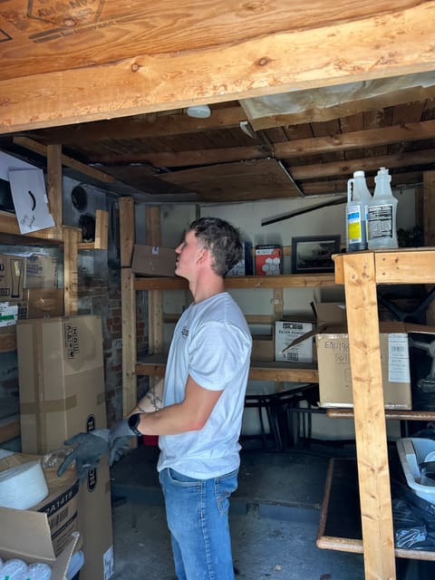 Benny sizing up a shed full of boxes and shelving