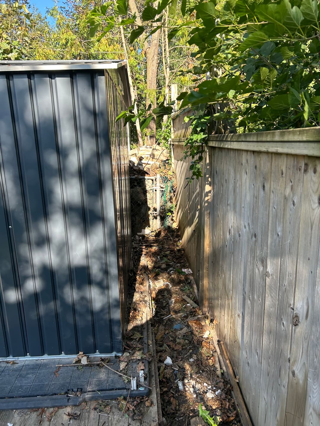 After: the same side yard cleared out, with a clear path beside the shed
